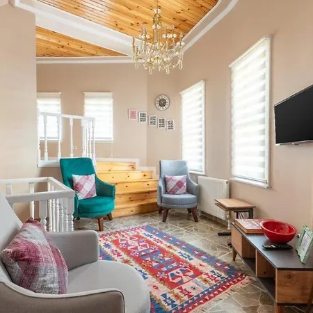 New Gorgeous Modern House 3bd2bath! #335 * Istanbul